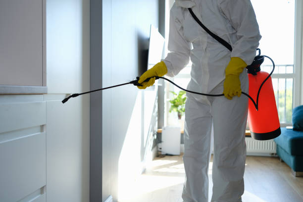 Mold Remediation for Vacation Homes in Greenville, IN